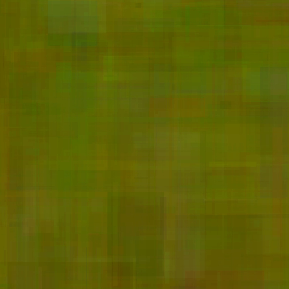 Forest Of Forever | © 2014 Tom Von Lahndorff